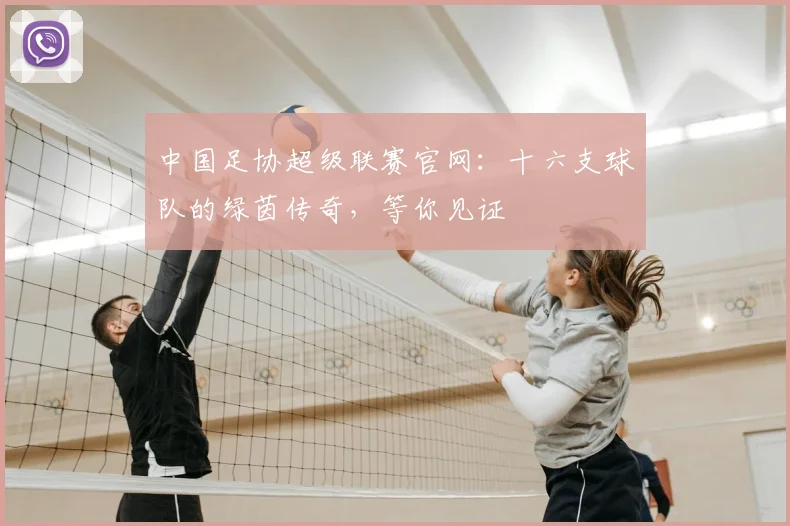 中国足协超级联赛官网:十六支球队的绿茵传奇,等你见证