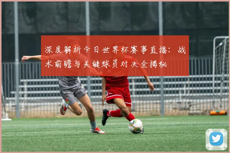 深度解析今日世界杯赛事直播:战术前瞻与关键球员对决全揭秘