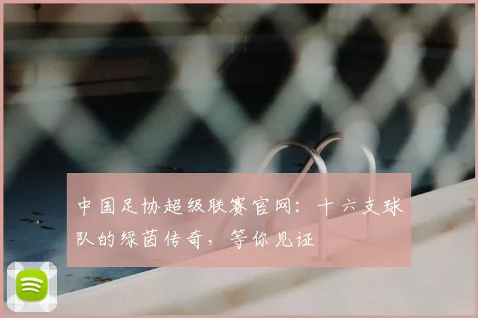 中国足协超级联赛官网:十六支球队的绿茵传奇,等你见证